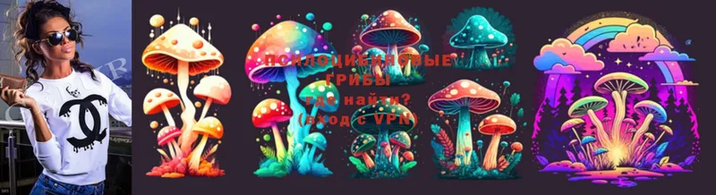 Галлюциногенные грибы Psilocybe  Нефтекумск 